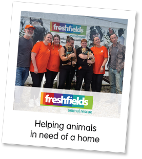 Freshfields Animal Rescue – Helping animals in need of a home