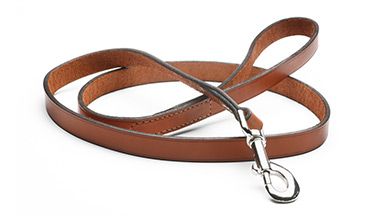 Dog's lead