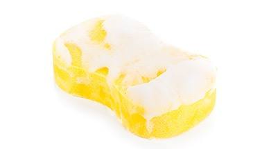 Sponge