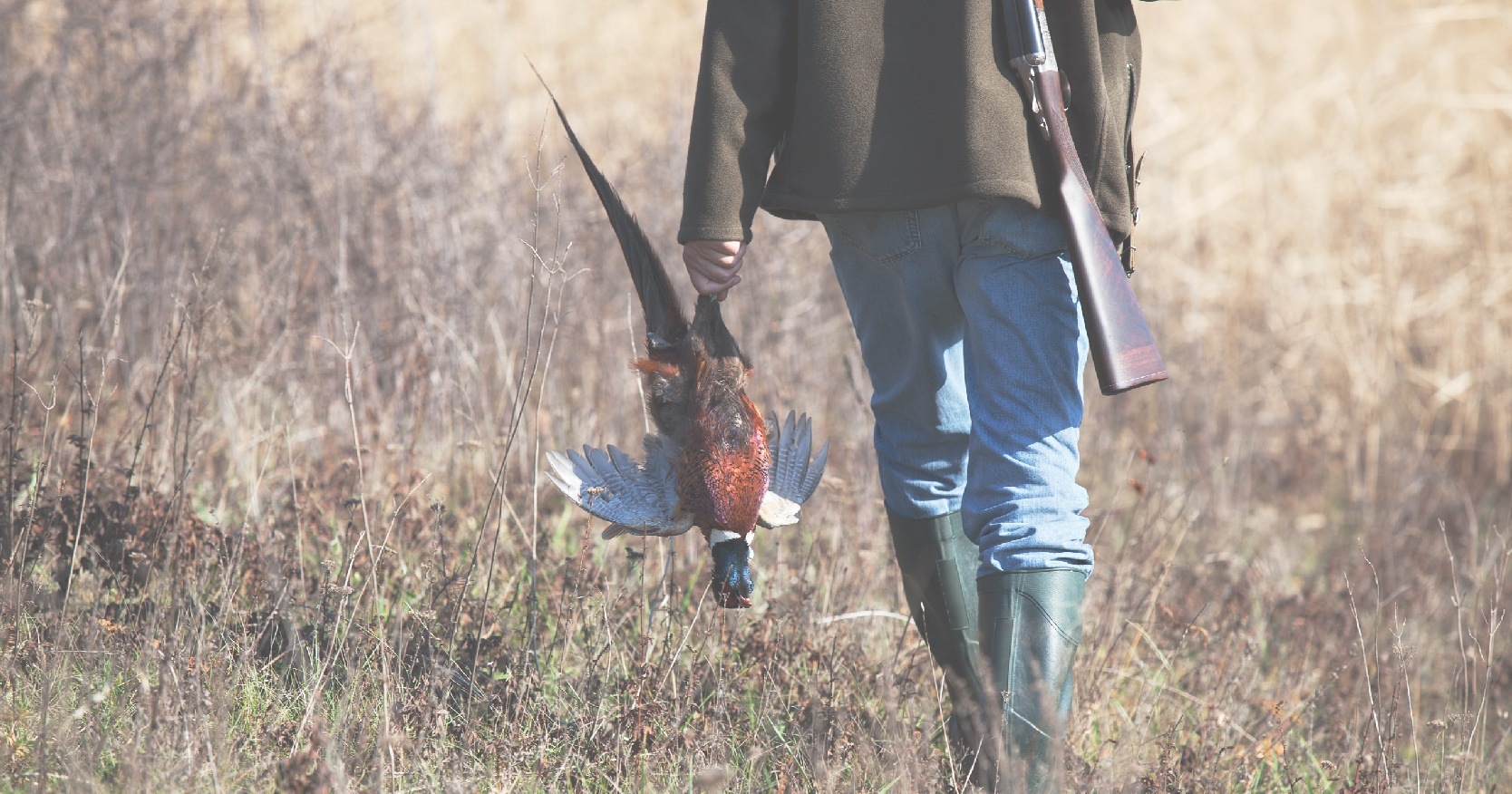 Gamebird and waterfowl shooting insurance
