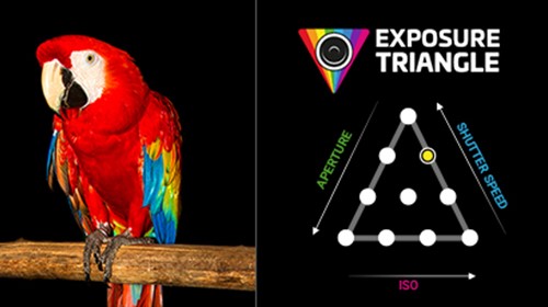 What Is The Exposure Triangle?