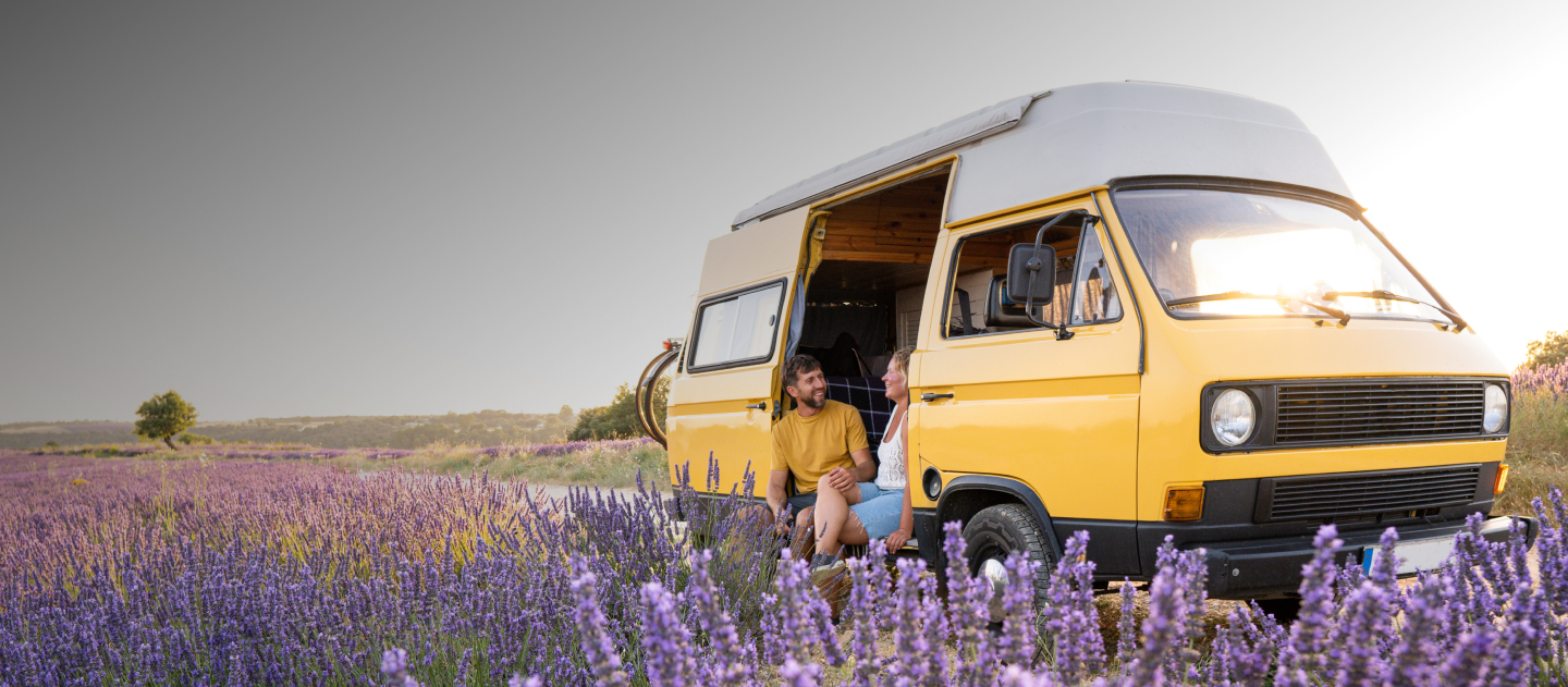 classic van in a field