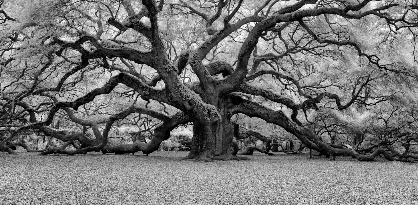 Tips for black and white landscape photography