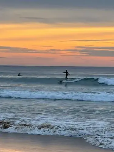 surfing sines breach
