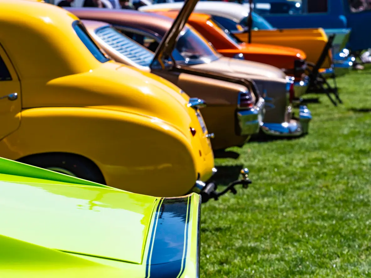 Cars lined up in a car show in a field