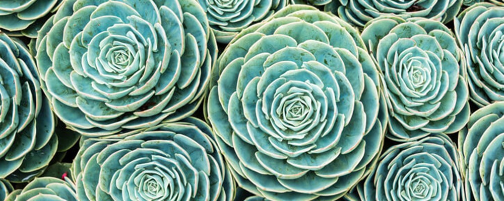 The ultimate guide to using patterns in photography - Photography Blog ...