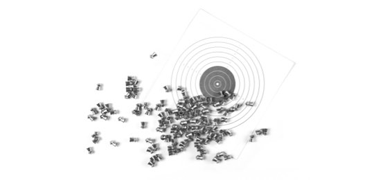 Air rifle insurance