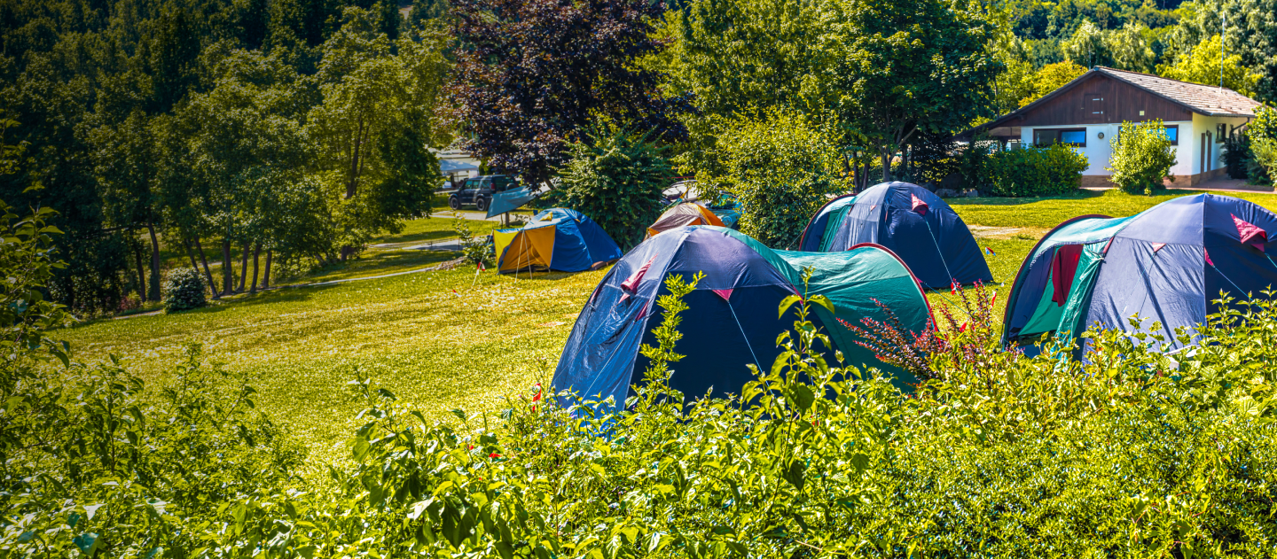 Picture of tents in a campsite