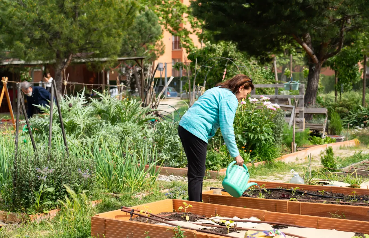 6 community garden ideas for your next project