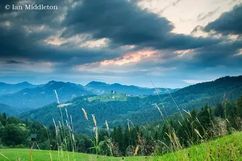 lens-distortion-photography.webp