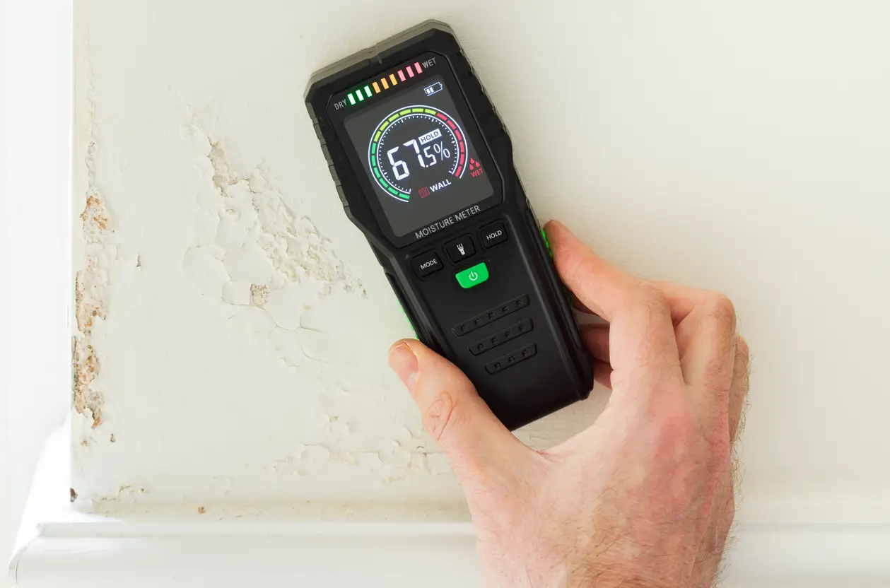 The 7 best caravan damp meters