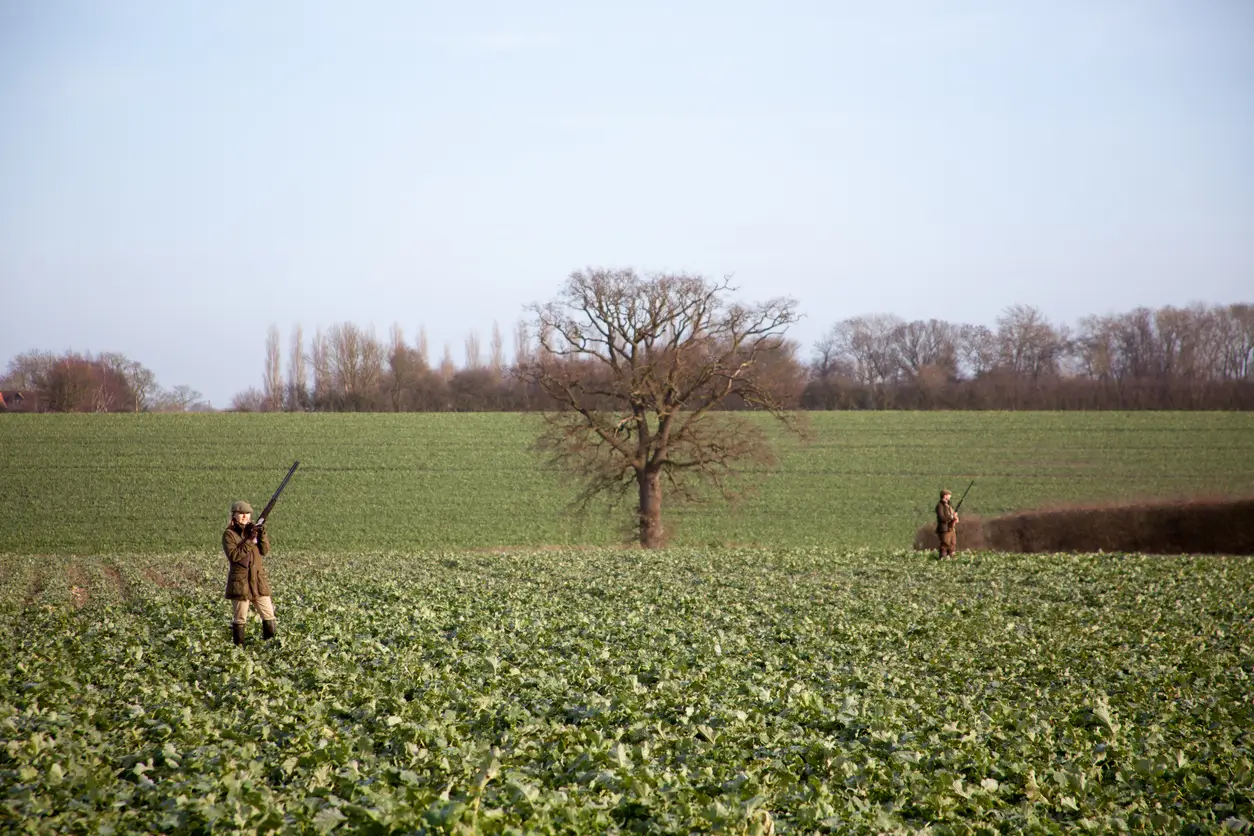 How to shoot pheasants: 8 pheasant shooting tips