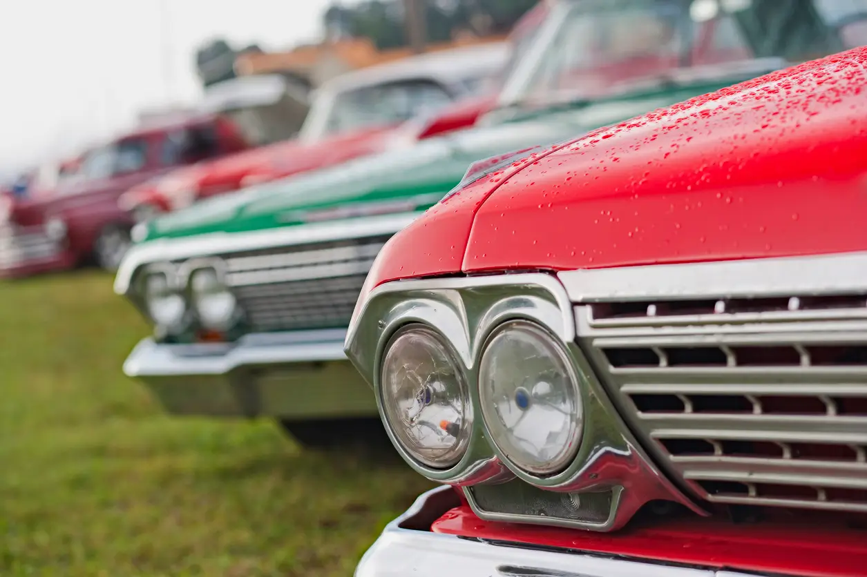 classic cars in a row in a field