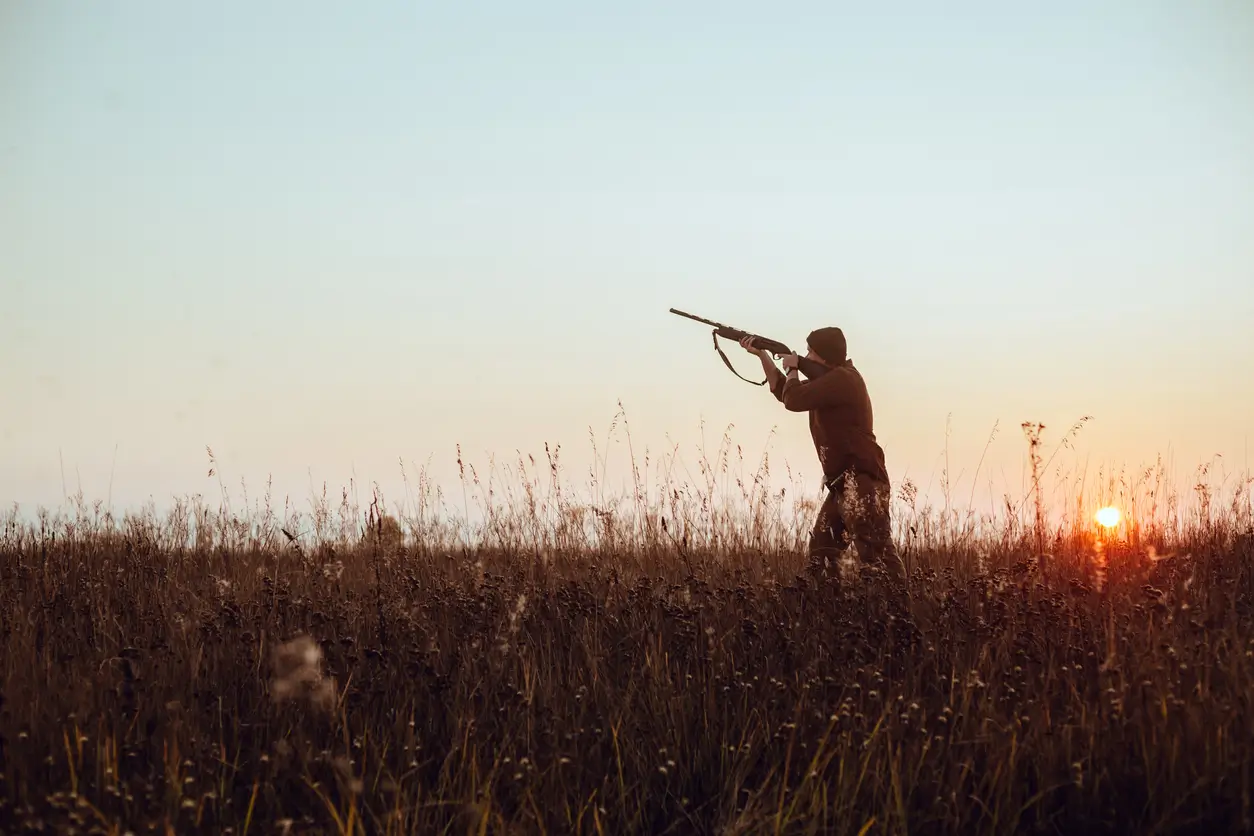 Your guide to duck shooting season in the UK